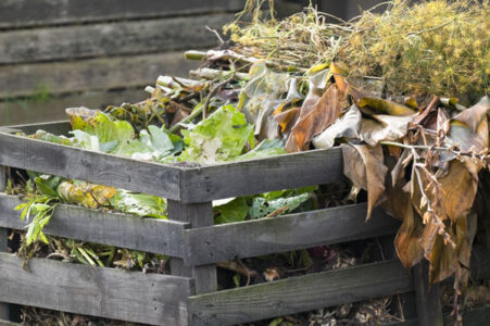 The How To Compost Guide Image